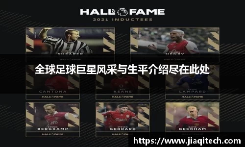 全球足球巨星风采与生平介绍尽在此处